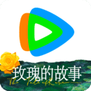 北京猫力咋样啊